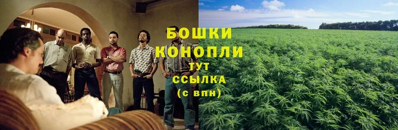 купить наркотик  Ковылкино  Конопля LSD WEED 